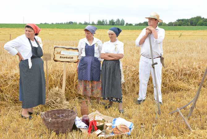Hagyományos Aratás Szenttamáson 2016. június 18. képek